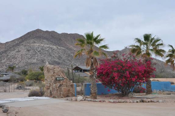 Flores e palmeiras em Cabo Pulmo, no sul da Baja California, no México